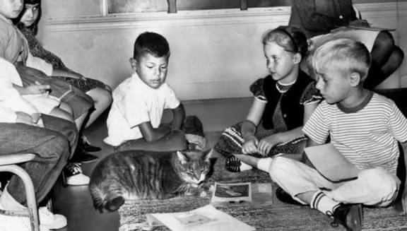 Children sitting on the floor petting Room 8 the tabby cat in a classroom