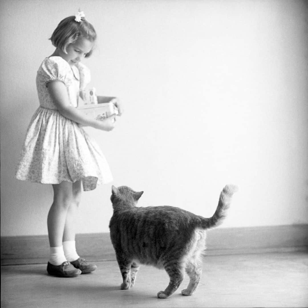 Young girl in dress holding milk carton as Room 8 walks toward her